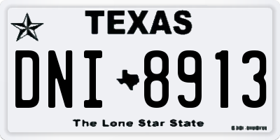 TX license plate DNI8913