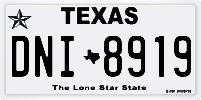 TX license plate DNI8919