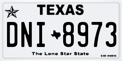 TX license plate DNI8973