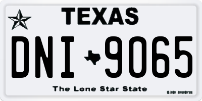 TX license plate DNI9065