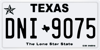 TX license plate DNI9075