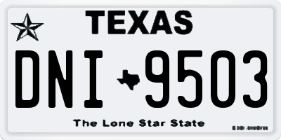 TX license plate DNI9503