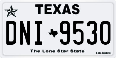 TX license plate DNI9530