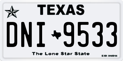 TX license plate DNI9533