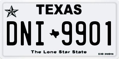 TX license plate DNI9901