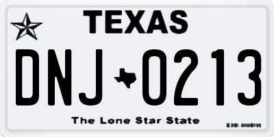 TX license plate DNJ0213