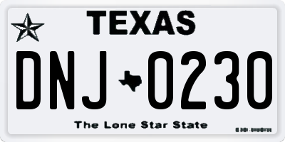 TX license plate DNJ0230