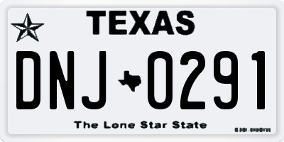 TX license plate DNJ0291