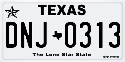 TX license plate DNJ0313