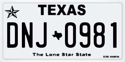 TX license plate DNJ0981