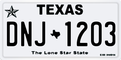 TX license plate DNJ1203