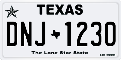 TX license plate DNJ1230