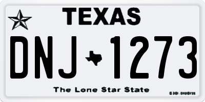 TX license plate DNJ1273