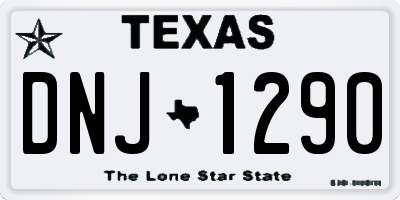 TX license plate DNJ1290