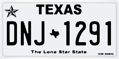 TX license plate DNJ1291