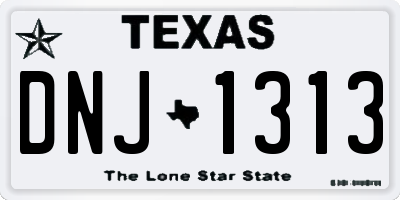 TX license plate DNJ1313