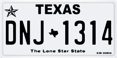TX license plate DNJ1314