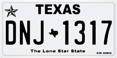 TX license plate DNJ1317
