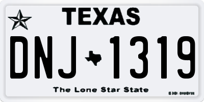 TX license plate DNJ1319