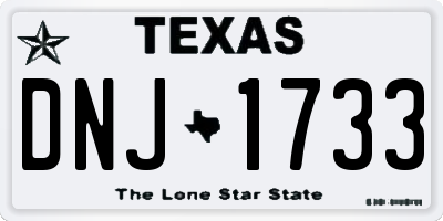 TX license plate DNJ1733