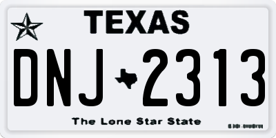 TX license plate DNJ2313