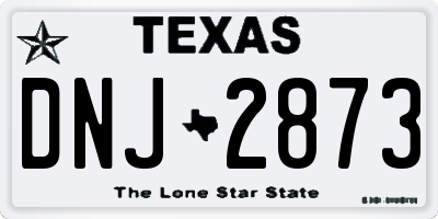TX license plate DNJ2873