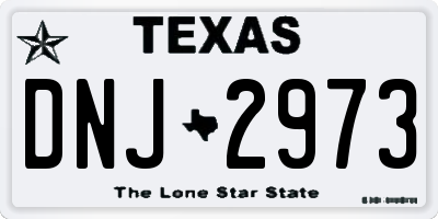 TX license plate DNJ2973