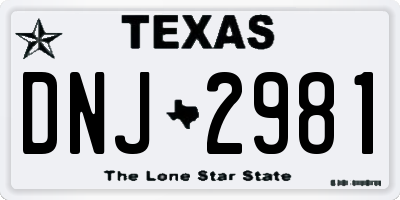 TX license plate DNJ2981