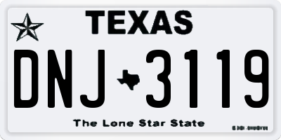 TX license plate DNJ3119