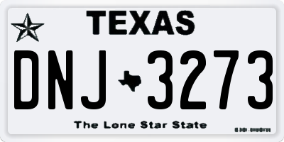TX license plate DNJ3273