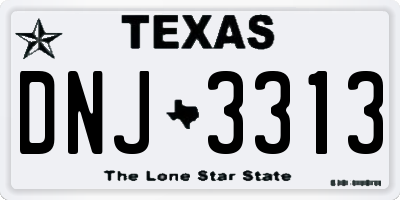 TX license plate DNJ3313
