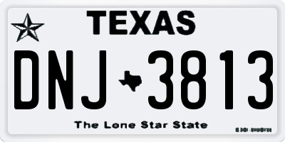TX license plate DNJ3813