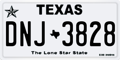 TX license plate DNJ3828