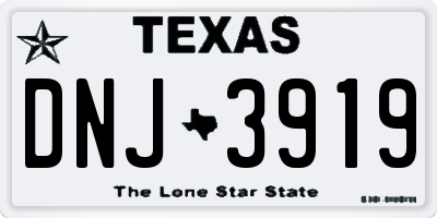 TX license plate DNJ3919