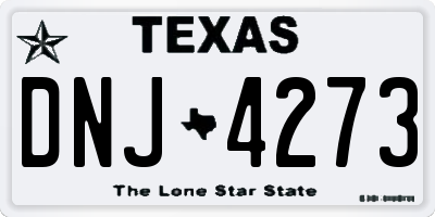 TX license plate DNJ4273