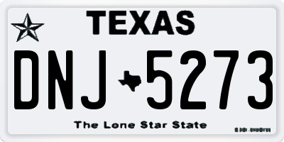 TX license plate DNJ5273