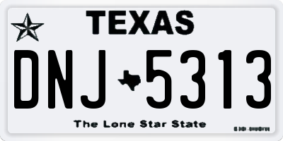 TX license plate DNJ5313