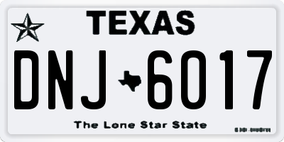 TX license plate DNJ6017