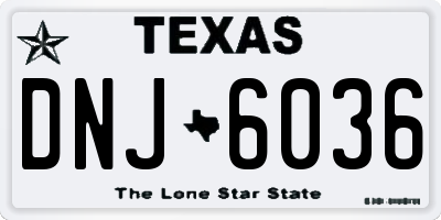 TX license plate DNJ6036