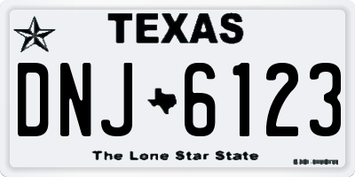 TX license plate DNJ6123