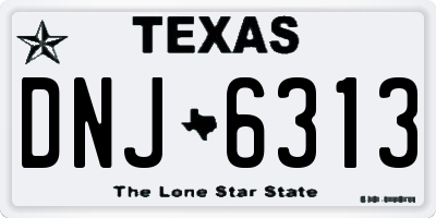 TX license plate DNJ6313