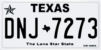 TX license plate DNJ7273