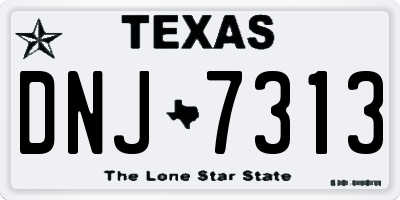 TX license plate DNJ7313