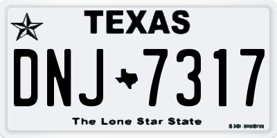 TX license plate DNJ7317