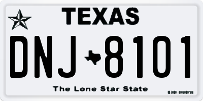 TX license plate DNJ8101