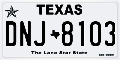 TX license plate DNJ8103