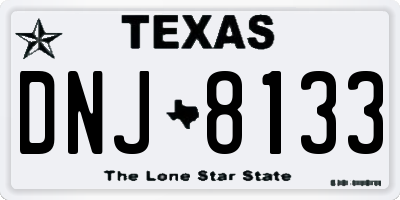 TX license plate DNJ8133