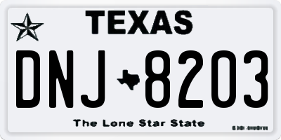 TX license plate DNJ8203