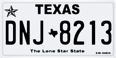 TX license plate DNJ8213