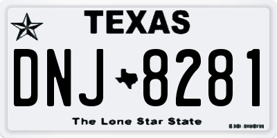 TX license plate DNJ8281